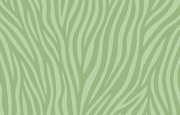 Green and white zebra print Green and white zebra print