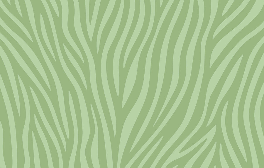 Green and white zebra print Green and white zebra print