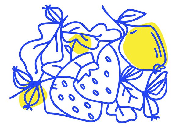Drawing of fruits and leaves Drawing of fruits and leaves