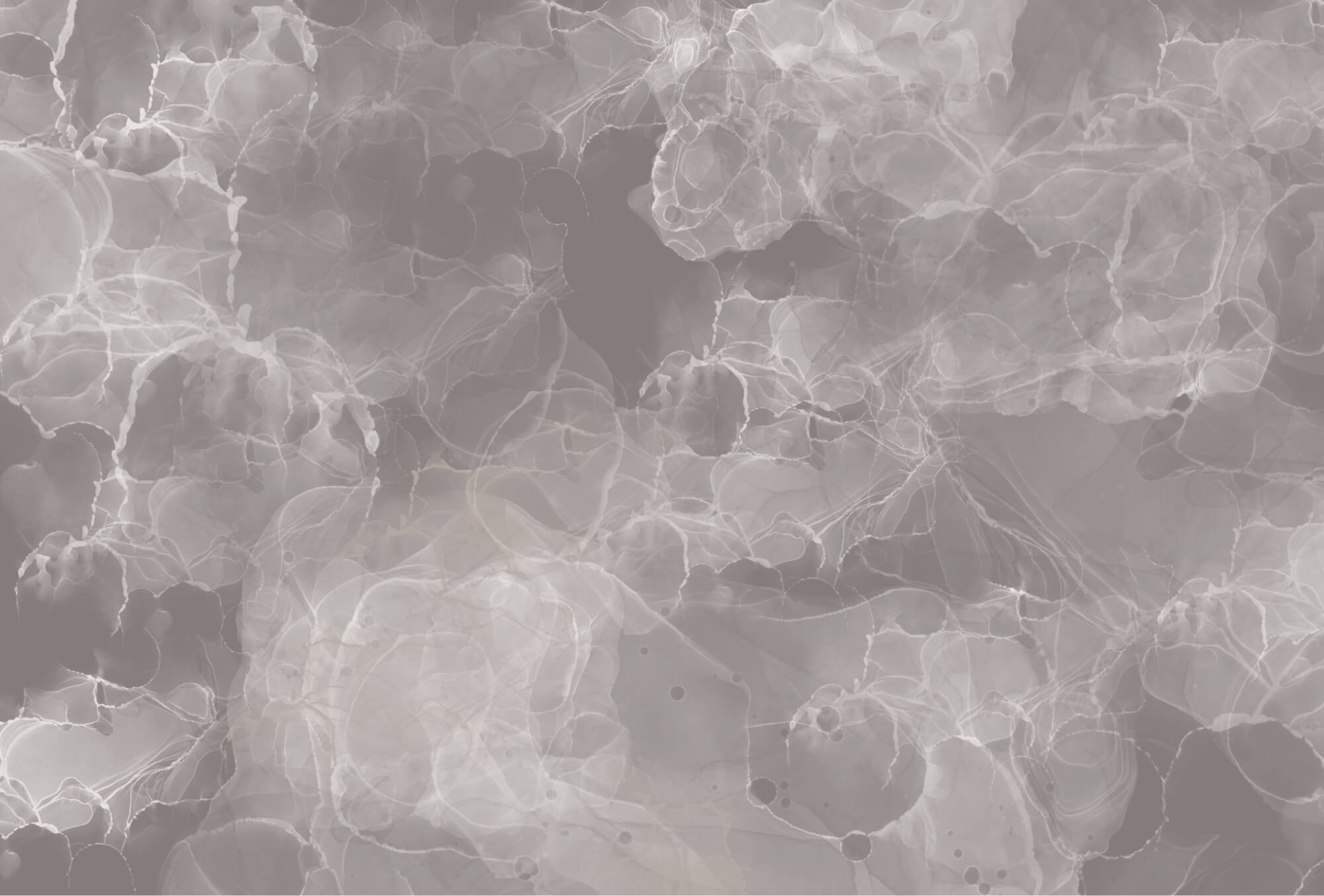 Grey and white background Grey and white background