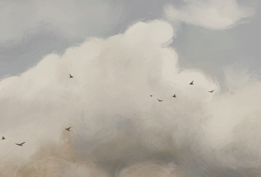 Birds flying birds in the sky