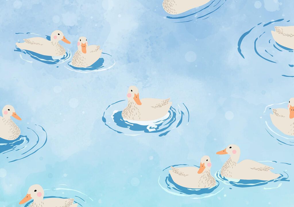 Group of ducks swimming in water Group of ducks swimming in water