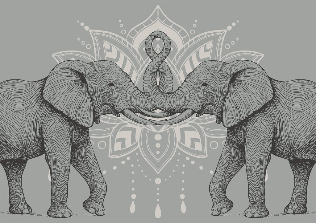 Two elephants with their trunks touching each other Two elephants with their trunks touching each other