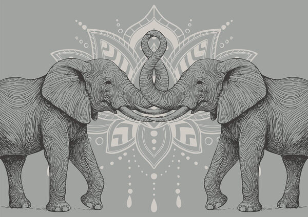 Two elephants with their trunks touching each other Two elephants with their trunks touching each other