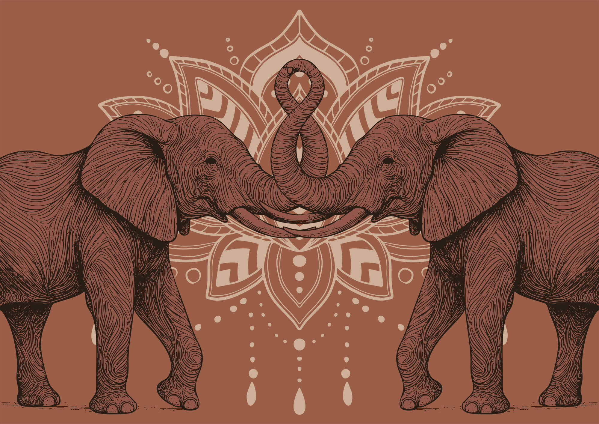 Two elephants with their trunks touching each other