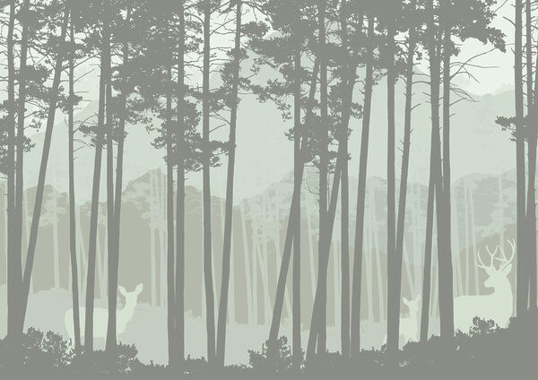 Group of trees in a forest Group of trees in a forest