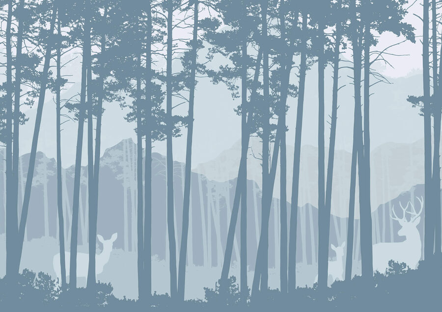 Wall murals Group of trees in a forest - Image 3