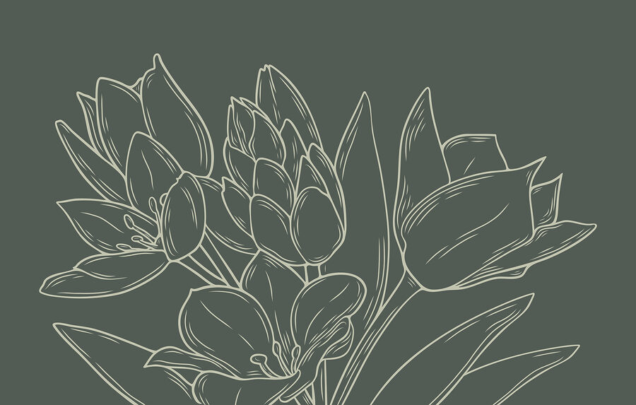 Drawing of flowers on a plant