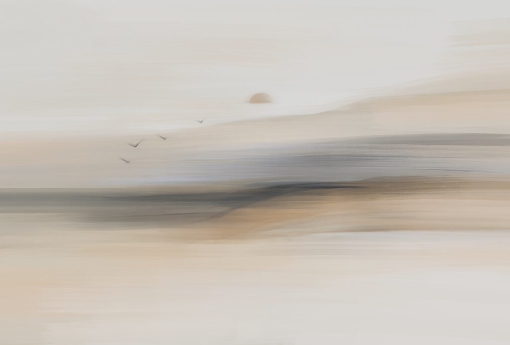 Group of birds flying in the sky Group of birds flying in the sky