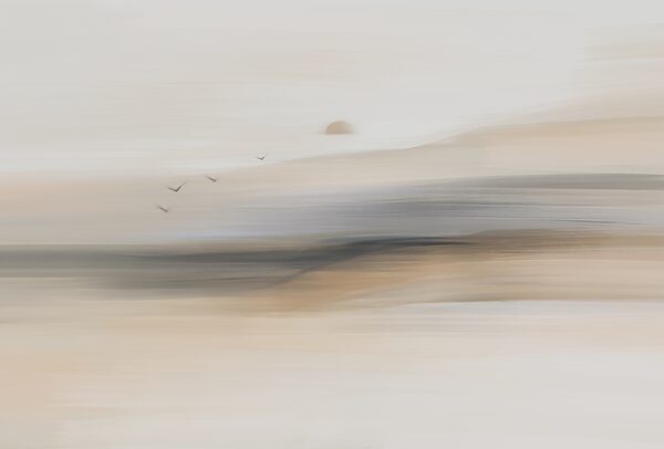 Group of birds flying in the sky Group of birds flying in the sky