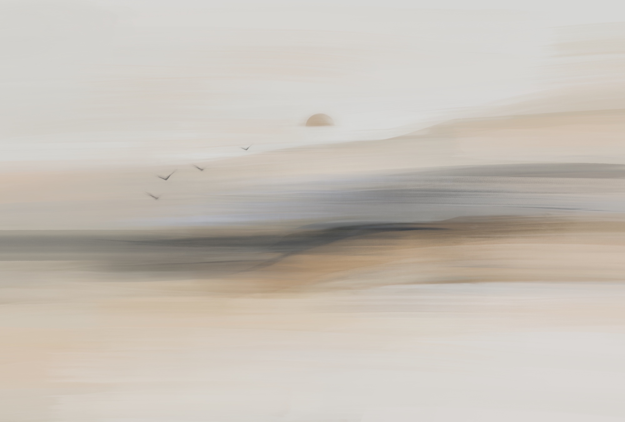 Group of birds flying in the sky Group of birds flying in the sky
