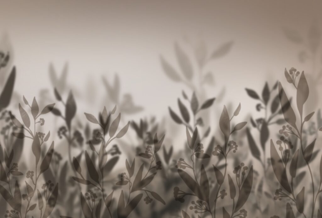 Blurry image of plants Blurry image of plants