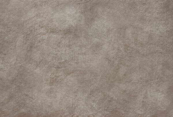 Soft, muted color palette on display Soft, muted color palette on display