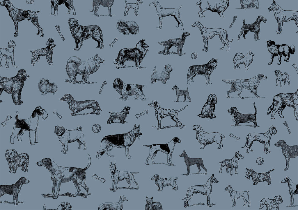Group of dogs on a blue background Group of dogs on a blue background