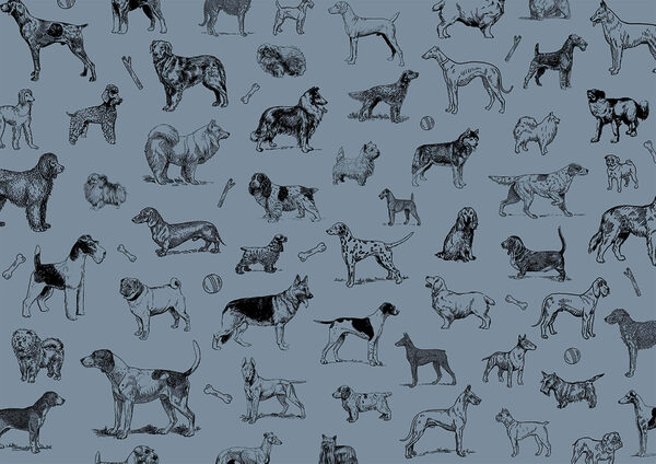 Group of dogs on a blue background Group of dogs on a blue background