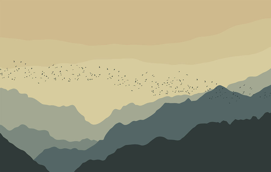 Group of birds flying over mountains Group of birds flying over mountains