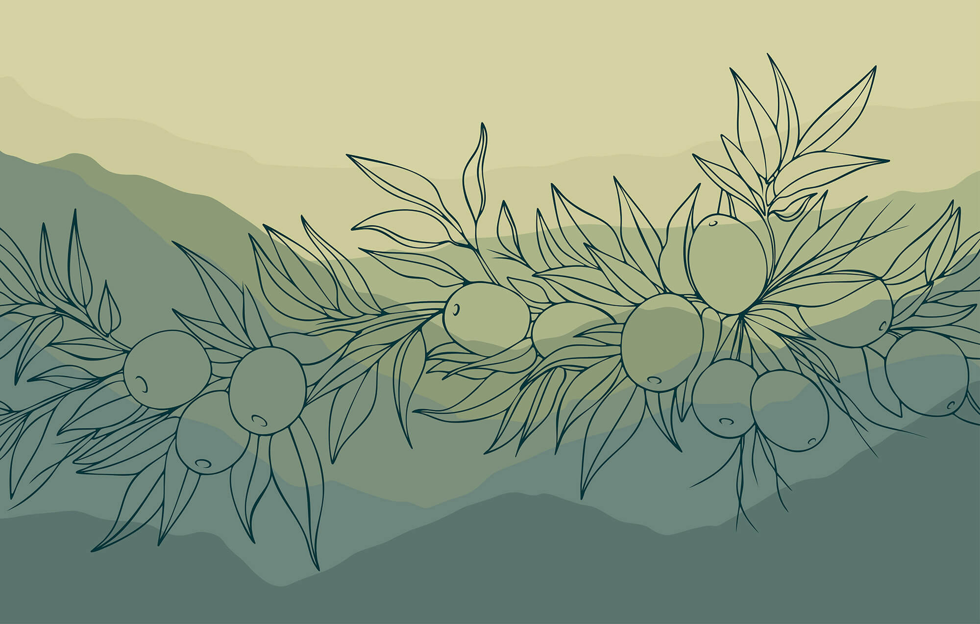 Drawing of a branch with fruits Drawing of a branch with fruits