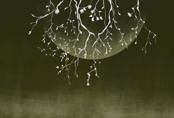 Tree branches with leaves and a moon Tree branches with leaves and a moon