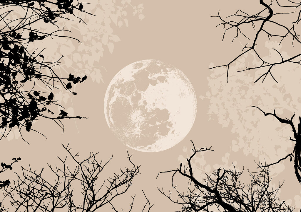 Moon in the sky Moon in the sky