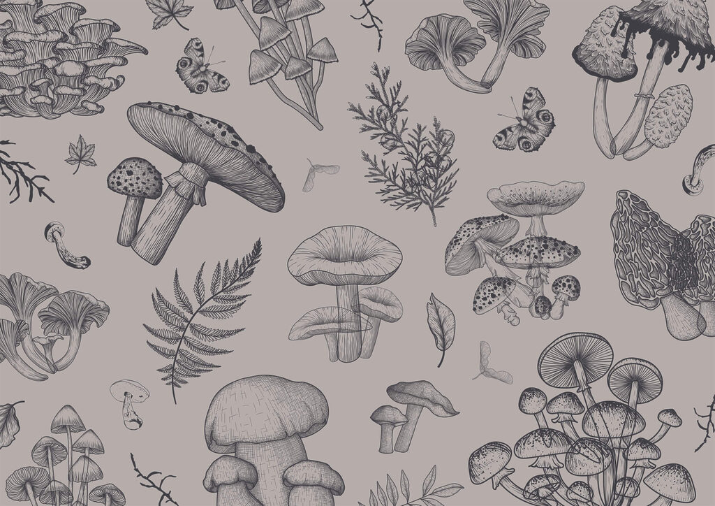 Pattern of mushrooms and leaves