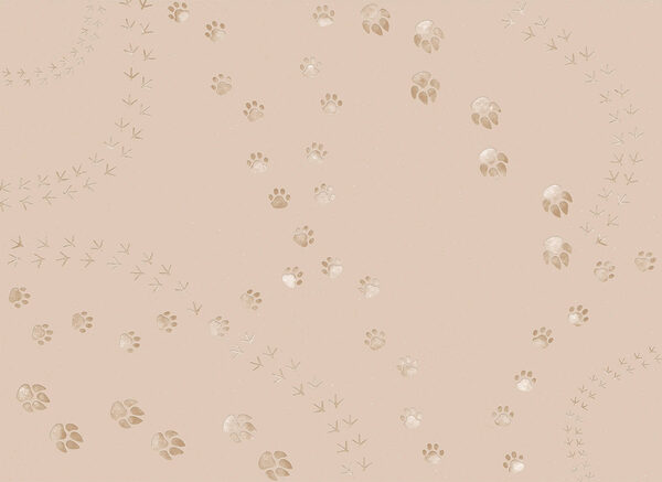 Pattern of paw prints and birds Pattern of paw prints and birds