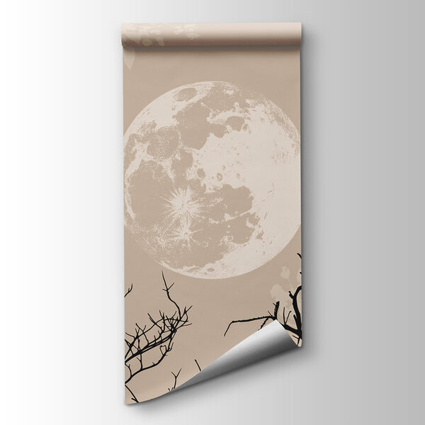 Moon in the sky Moon in the sky