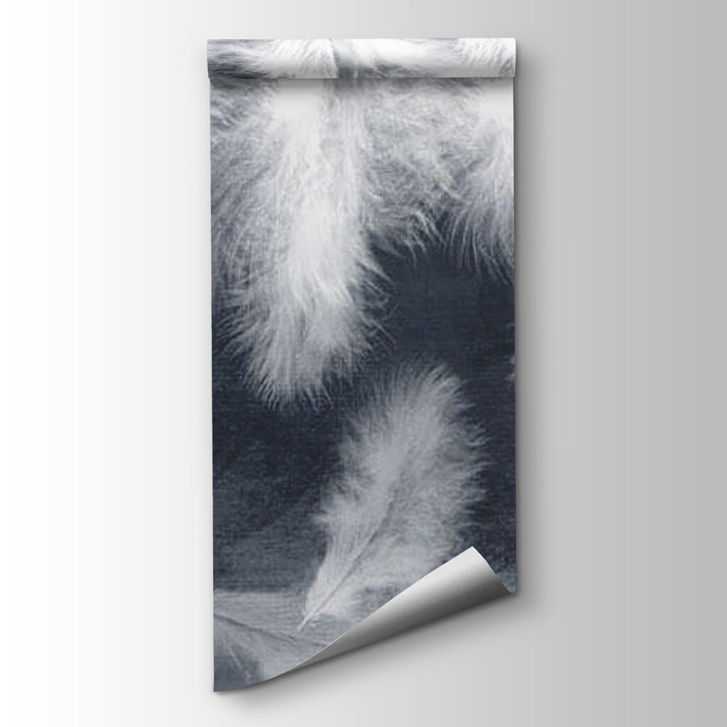 Group of white feathers Group of white feathers