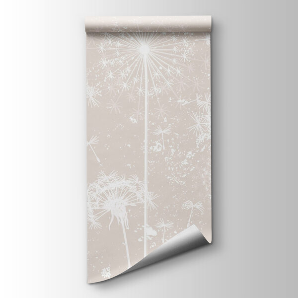 White dandelion flowers