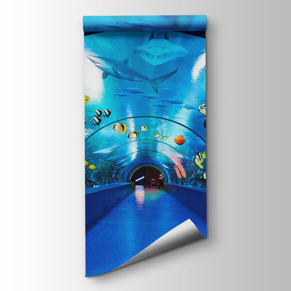 Tunnel with fish and animals Tunnel with fish and animals