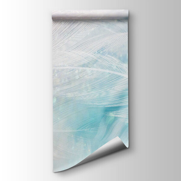 Delicate feathers in soft hues Delicate feathers in soft hues