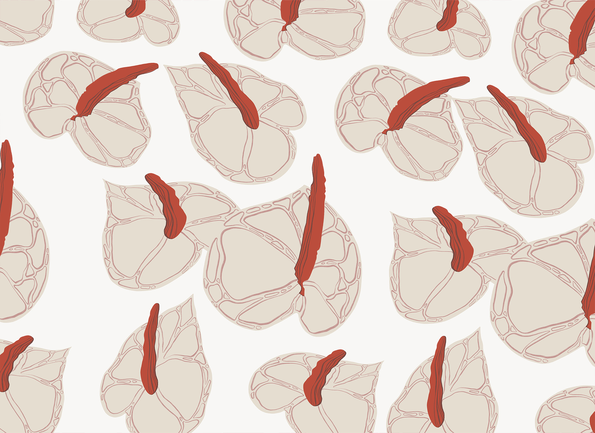 Pattern of flowers on a white background