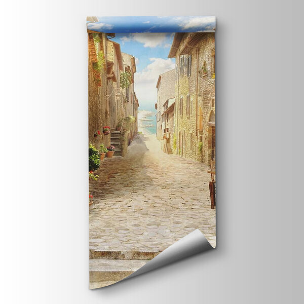 Stone street with stone buildings and plants Stone street with stone buildings and plants