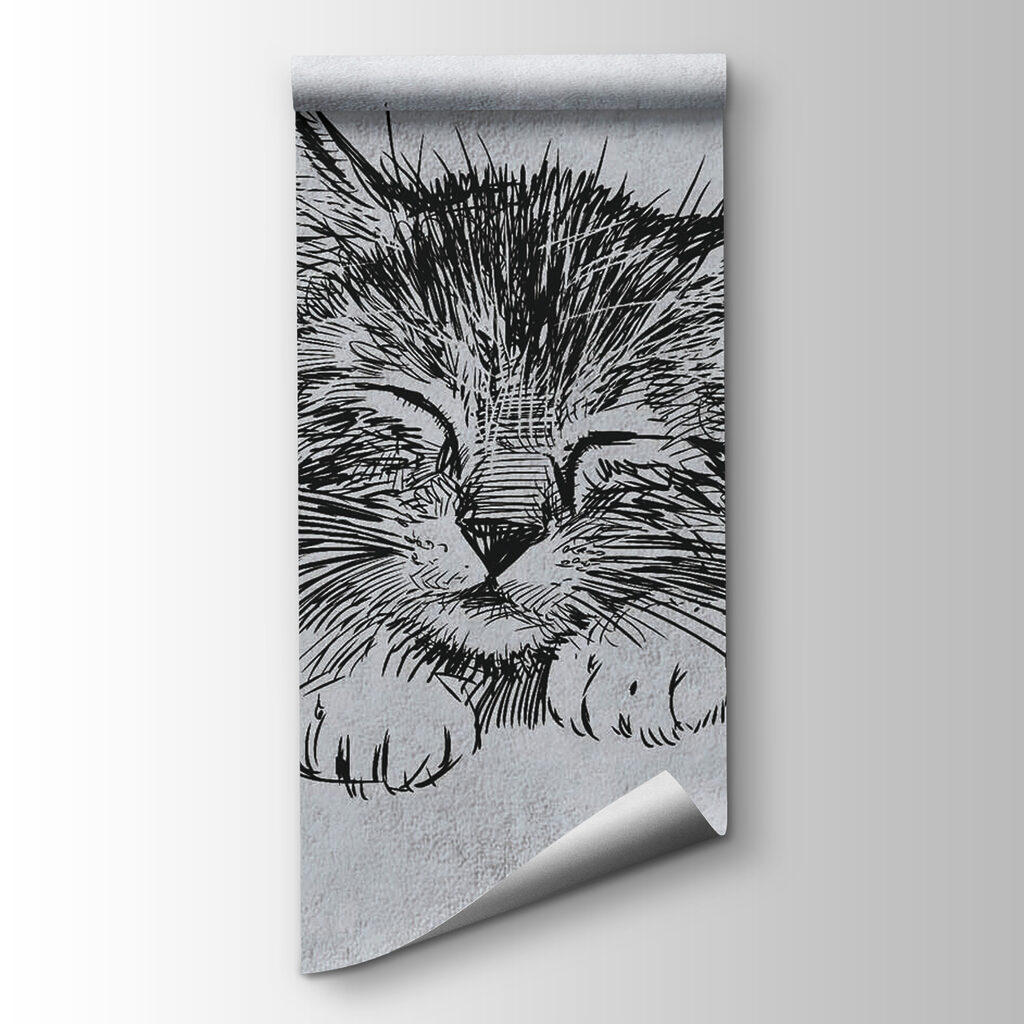 Drawing of a cat Drawing of a cat