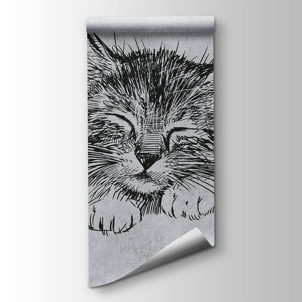 Drawing of a cat Drawing of a cat