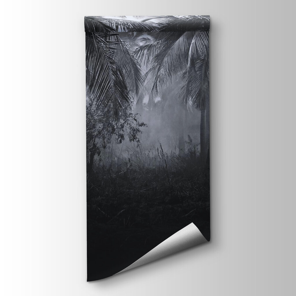 Foggy forest with palm trees Foggy forest with palm trees