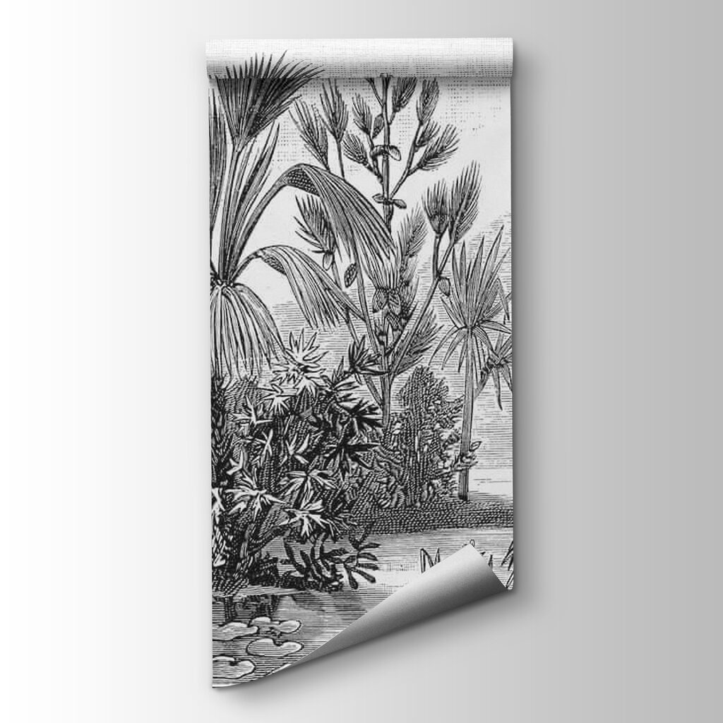 Black and white drawing of a tropical forest Black and white drawing of a tropical forest