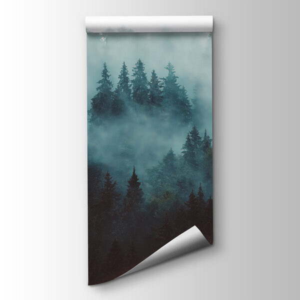 Foggy forest with trees