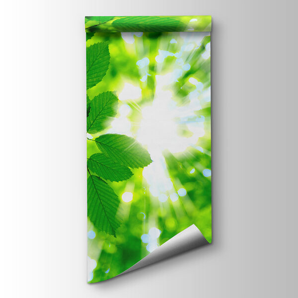 Sun shining through leaves Sun shining through leaves