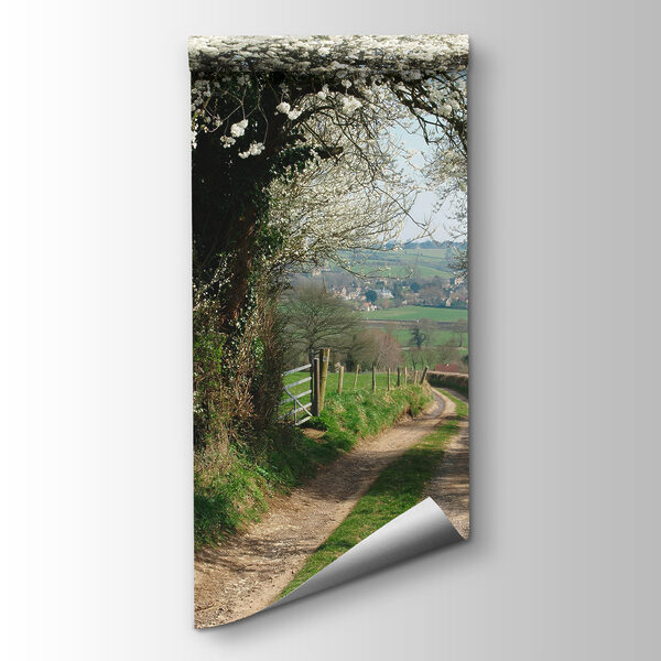 Dirt road with white flowers on it Dirt road with white flowers on it