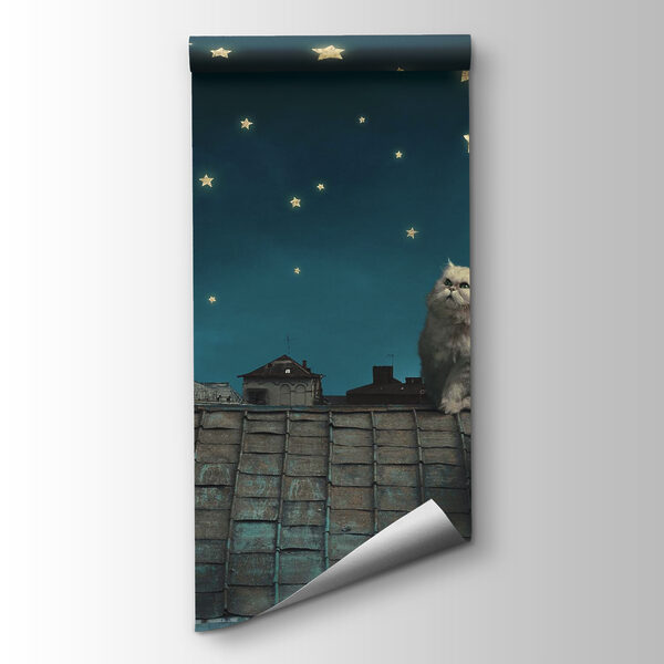 Cat sitting on a roof