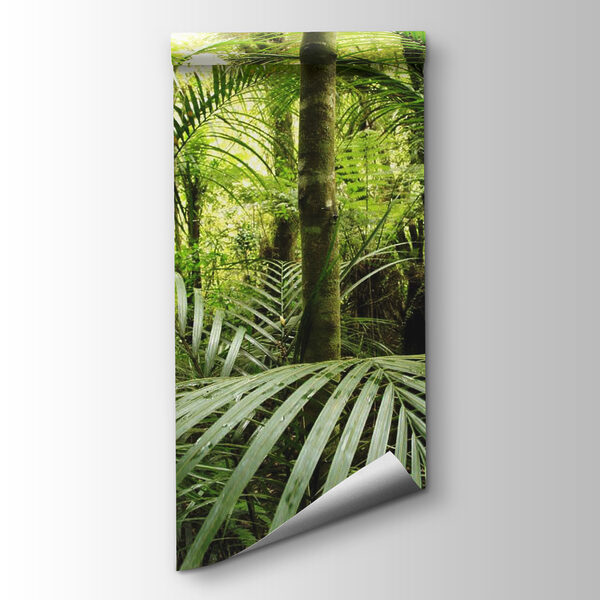 Green forest with palm trees Green forest with palm trees