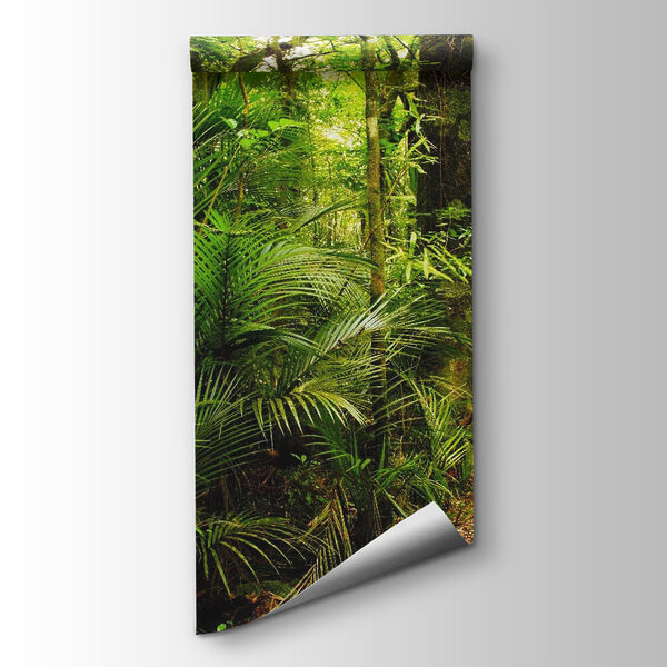 Path through a forest Path through a forest