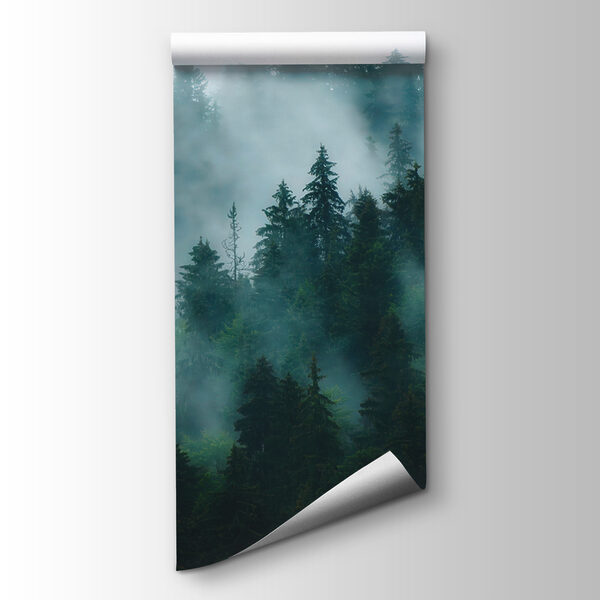 Foggy forest with trees