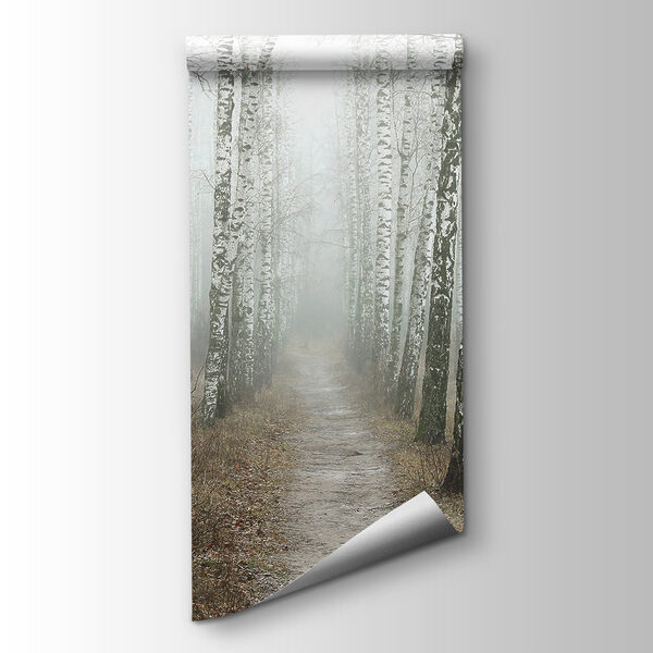 Path through a forest