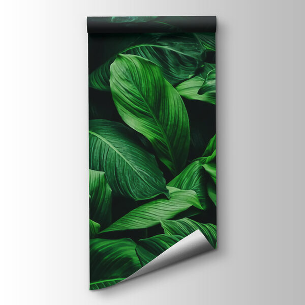 Group of large green leaves Group of large green leaves