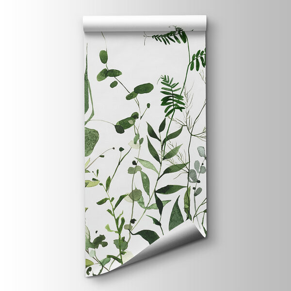 Lush greenery on a white background Lush greenery on a white background