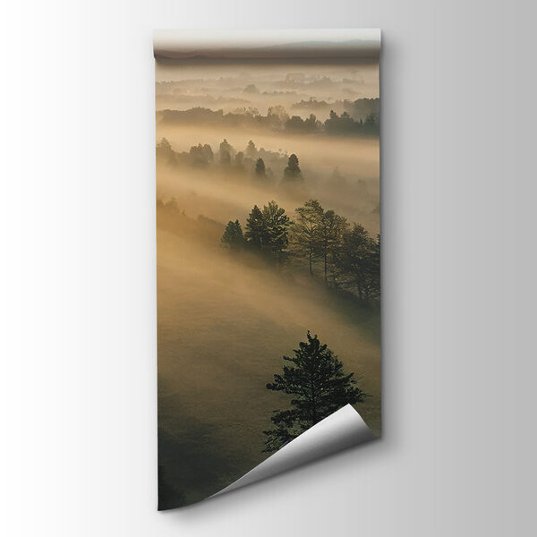 Sun shining through the trees