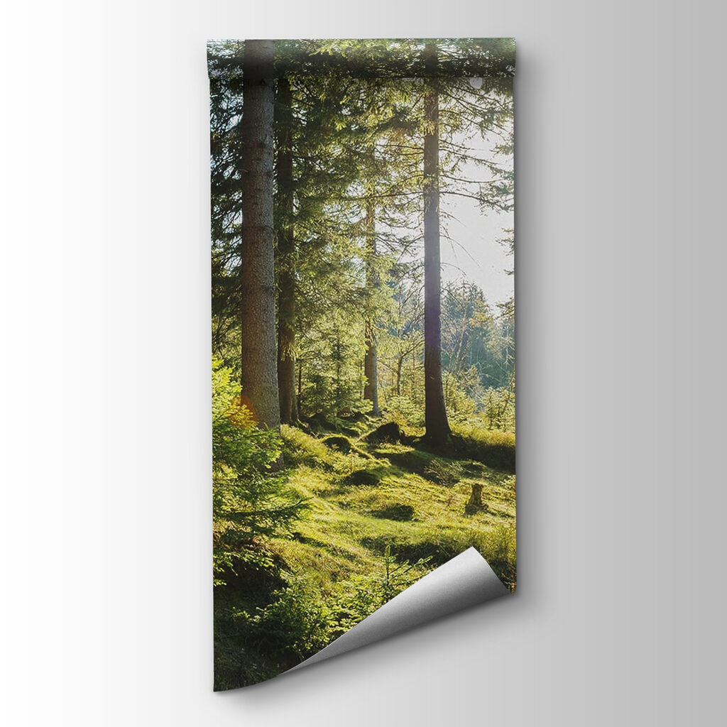 Sun shining through trees