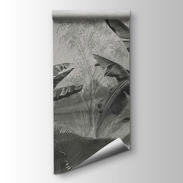 Black and white image of a tropical forest Black and white image of a tropical forest