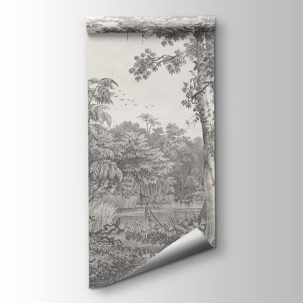 Drawing of trees and plants Drawing of trees and plants